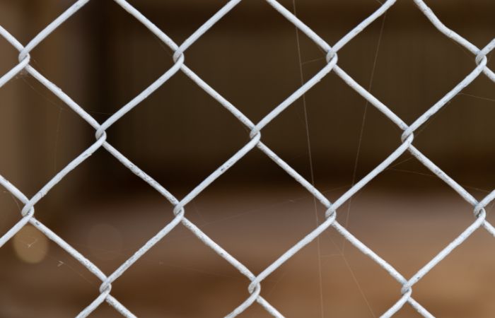 Stainless steel wirenetting suppliers in India